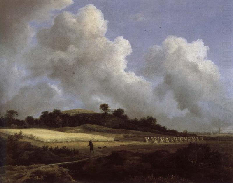 View of Grainfields with a Distant town, Jacob van Ruisdael